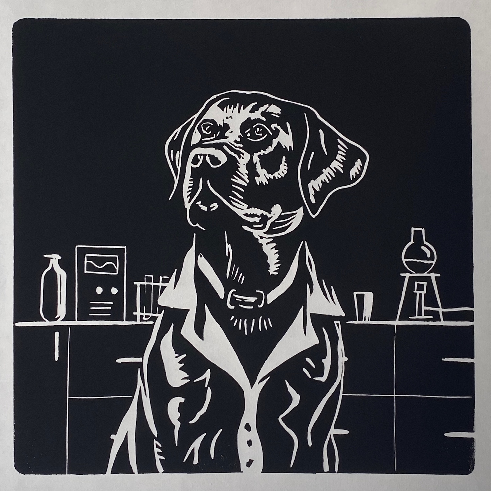 Lab in a Lab in a Labcoat