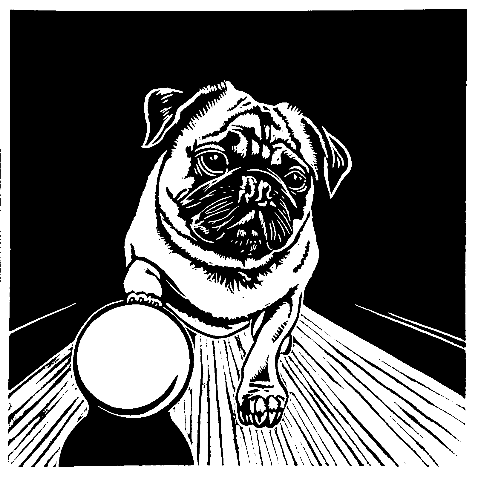 Pug Bowling
